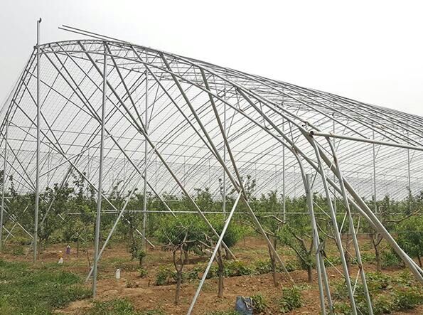 承接撫順新賓恒溫智能溫室大棚育苗室生態(tài)餐廳連棟溫室大棚