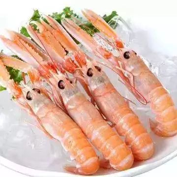 威海海龍蝦批發(fā) 威海海鰲蝦貨源