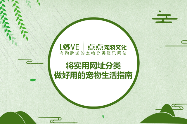 點(diǎn)點(diǎn)寵物文化-誰知道寵物貓狗犬支血統(tǒng)證要多少錢？