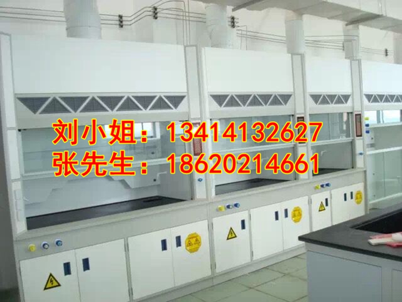 廣東實(shí)驗(yàn)通風(fēng)柜 通風(fēng)櫥價(jià)格 化驗(yàn)室通風(fēng)柜廠商供應(yīng)