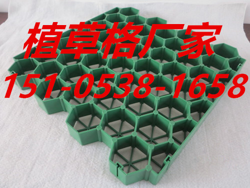 植草格|塑料植草格|停車場植草格 HDPE植草格