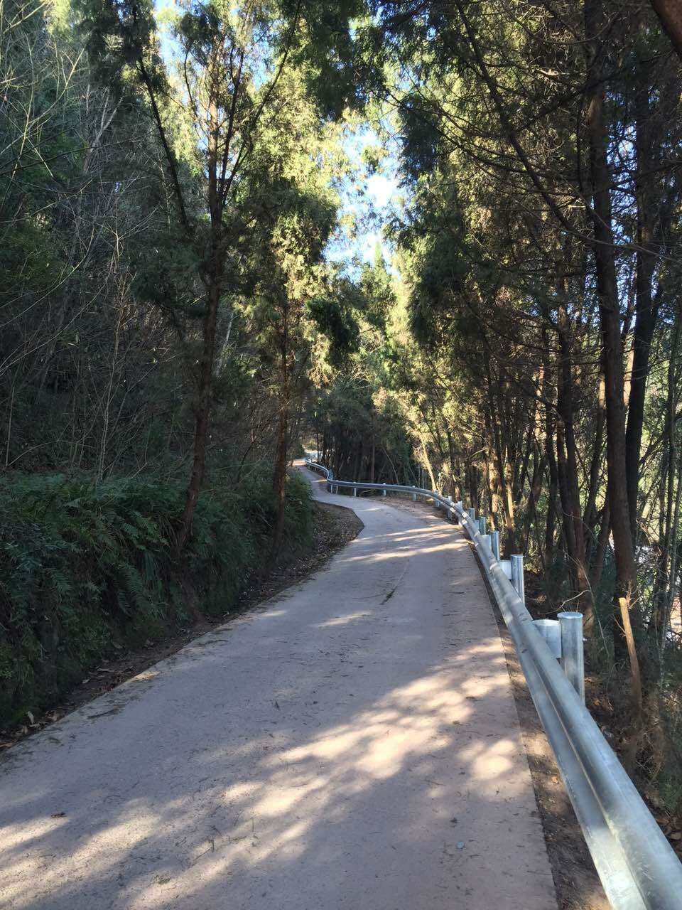 武都鄉(xiāng)村道路波形護(hù)欄板多少錢一米
