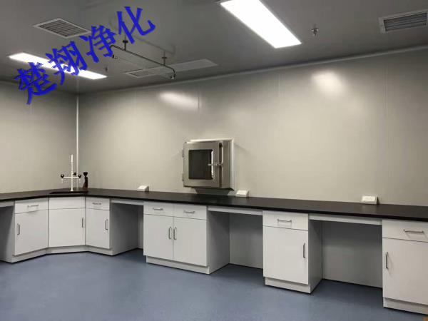 邵陽實驗室凈化工程、凈化車間、生物實驗室無菌車間、理化室、光譜室