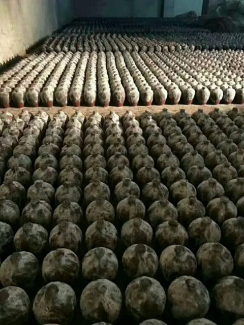 洞藏老酒,原漿酒.500ml/6壇/1件醬香酒老酒.供應 供應洞藏老酒