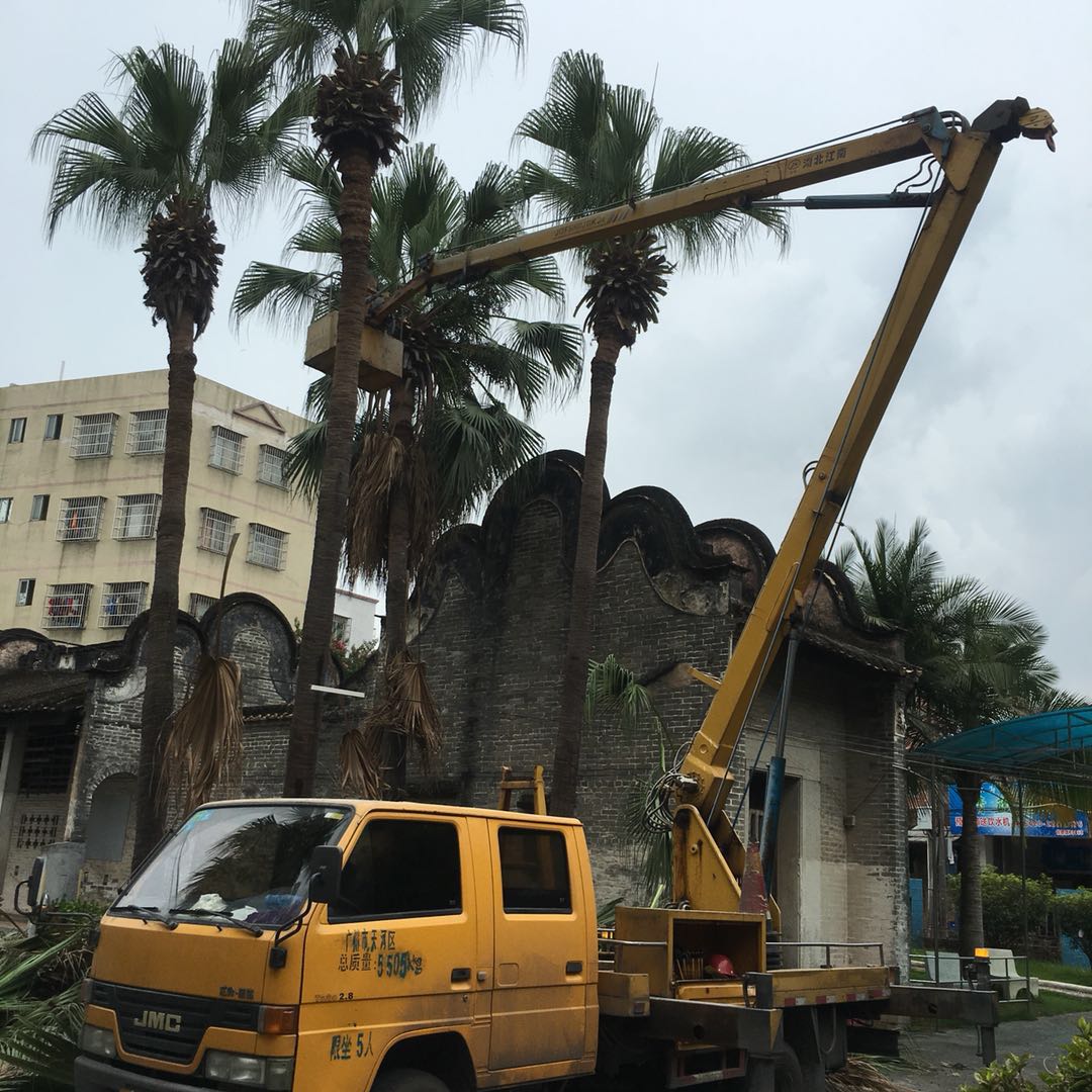 武漢吊籃車出租 武漢吊籃車出租電話 武漢吊籃車出租地址 武漢吊籃車出租價(jià)格