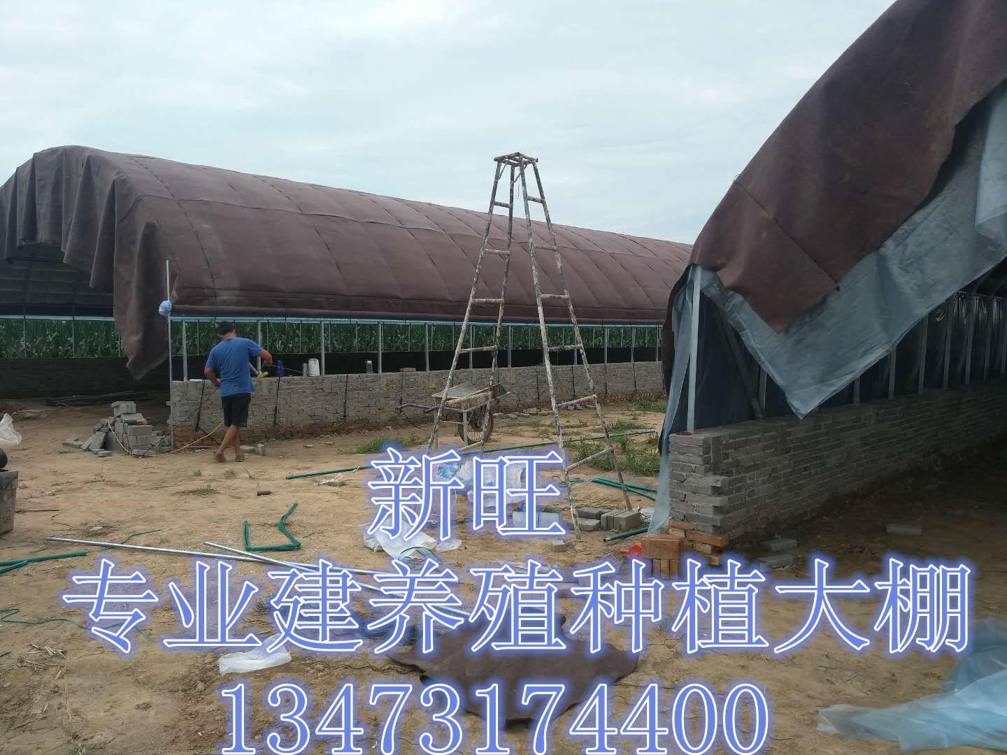 河北新旺興農(nóng)養(yǎng)殖大棚8409熱鍍鋅鋼架大棚 河北新旺興農(nóng)養(yǎng)殖大棚廠家