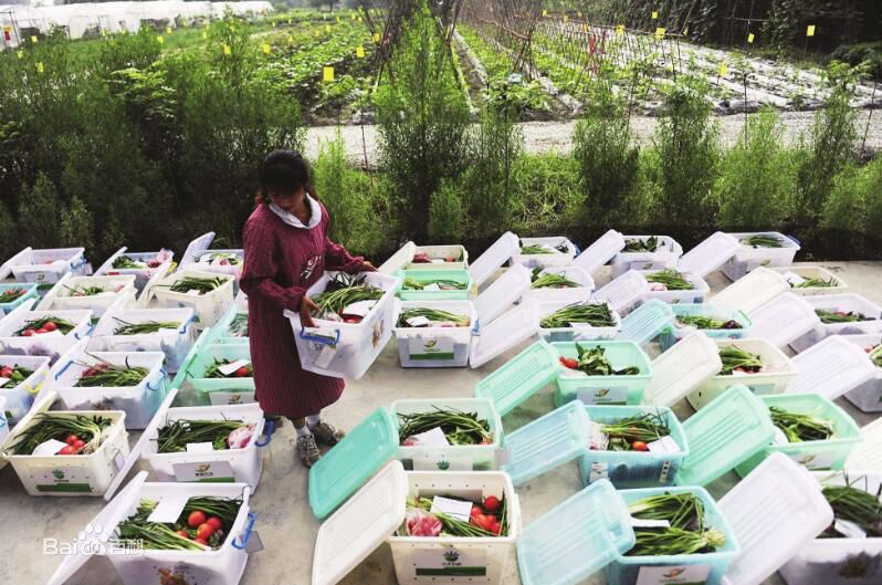 廣州蔬菜配送公司 gzhdwl.cn 生鮮配送公司