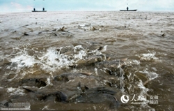 不需要充氣就能抬魚的抬網(wǎng)