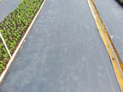 防草布 防草布廠家