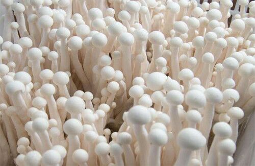 深圳蔬菜配送 深圳農(nóng)副產(chǎn)品配送  深圳蔬菜農(nóng)副產(chǎn)品配送