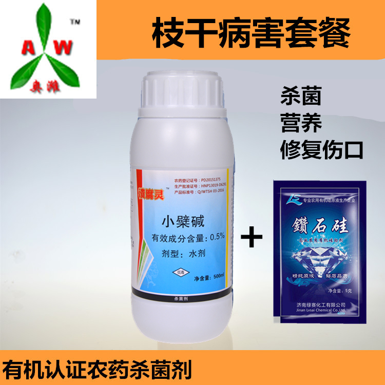 蘋果腐爛病干腐病防治技術(shù)中藥*愈合傷口好 潰腐靈
