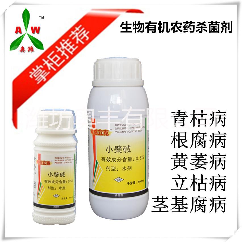 溫室番茄怎樣進(jìn)行越夏管理