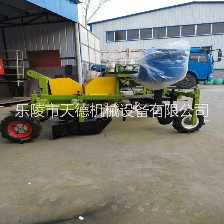 天德2ZQ新款秧苗移栽機(jī)*惠