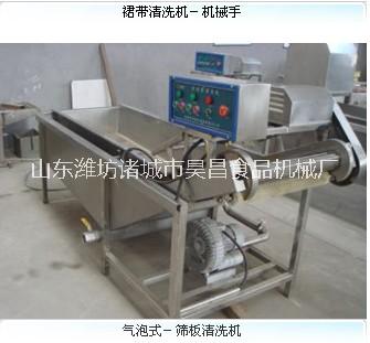 昊昌QP-3000機(jī)械手氣泡式果蔬清洗機(jī) 昊昌機(jī)械手氣泡式果蔬清洗機(jī)
