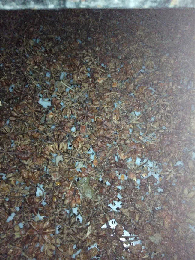 供應(yīng)八角烘干機廠家直銷_八角烘干機批發(fā)_八角烘干機價格 農(nóng)副產(chǎn)品八角烘干機批發(fā)