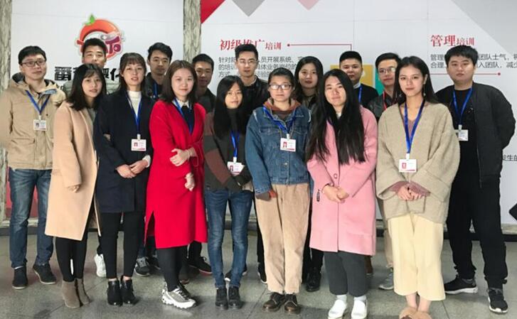 番茄孵化器 手游加盟