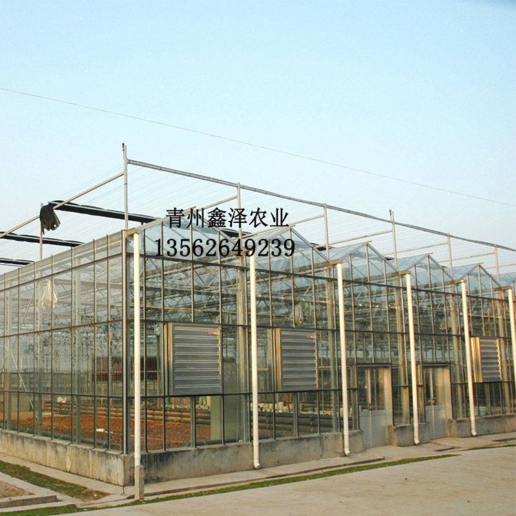 蔬菜玻璃溫室 保溫蔬菜玻璃溫室 專業(yè)建設蔬菜玻璃溫室廠廠家直銷