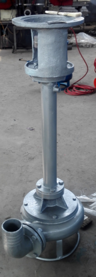 立式渣漿泵 可加長液下清淤泵 養(yǎng)殖場立式泥沙泵
