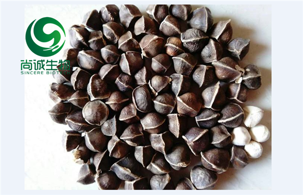 元寶楓籽油提取物 天然神經(jīng)酸 元寶楓籽提取物 天然神經(jīng)酸