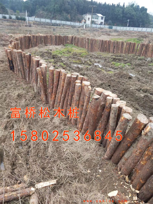湖南松木樁 湖南松木樁|湖南松木樁價格