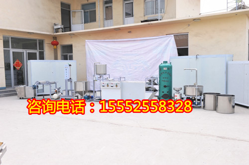 濰坊仿手工豆腐皮機
