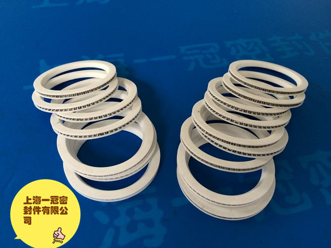 日本大金激光頭切割機(jī)密封圈激光頭密封圈 內(nèi)外端面泛塞封 PEEK泛塞封 日本大金泛塞封