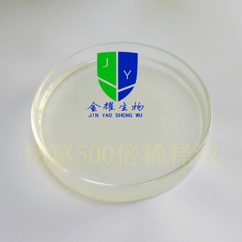 益生菌制劑水產(chǎn)凈水抗病促生長枯草芽孢桿菌 枯草芽孢桿菌（劑）