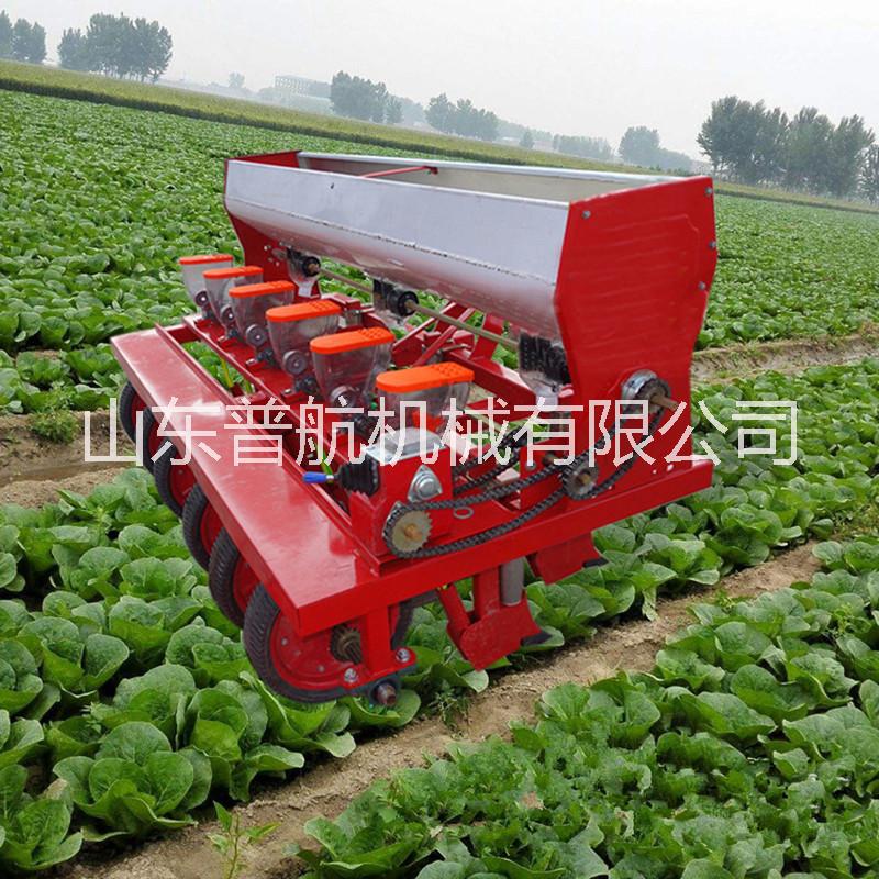 大棚香菜播種機(jī)  拖拉機(jī)油菜播種機(jī) 薺菜精播機(jī)