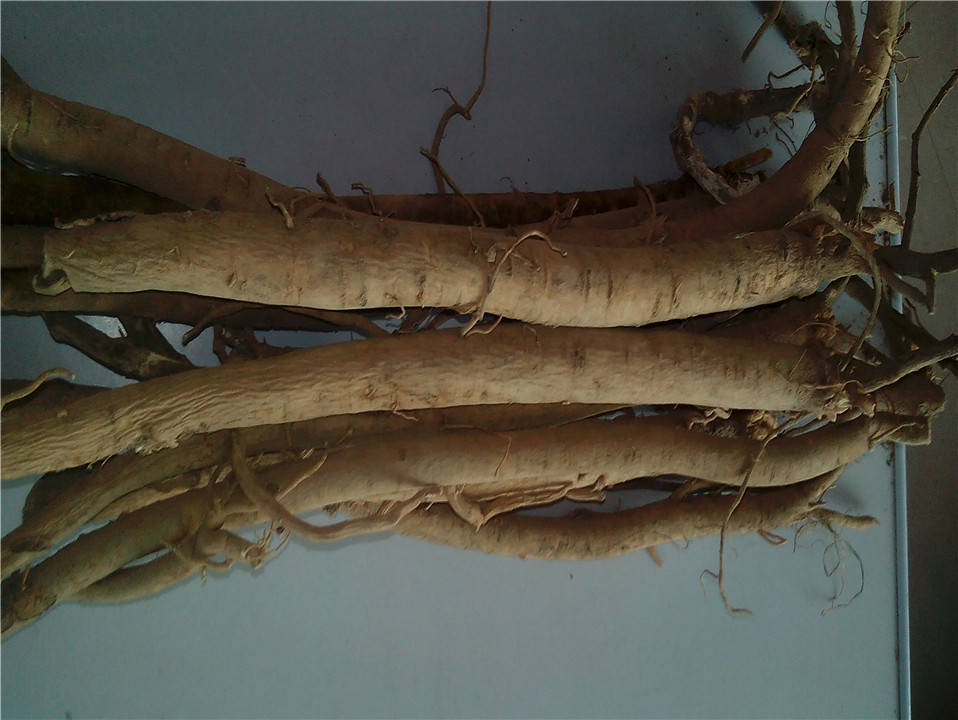 甘肅藥都黃芪價(jià)格 甘肅黃芪片批發(fā) 甘肅隴西黃芪廠家 甘肅黃芪條批發(fā)價(jià)格