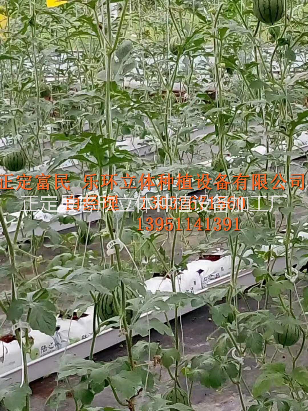 蔬菜基質(zhì)種植槽，瓜果蔬菜種植槽，葉菜種植槽 瓜果蔬菜基質(zhì)種植槽