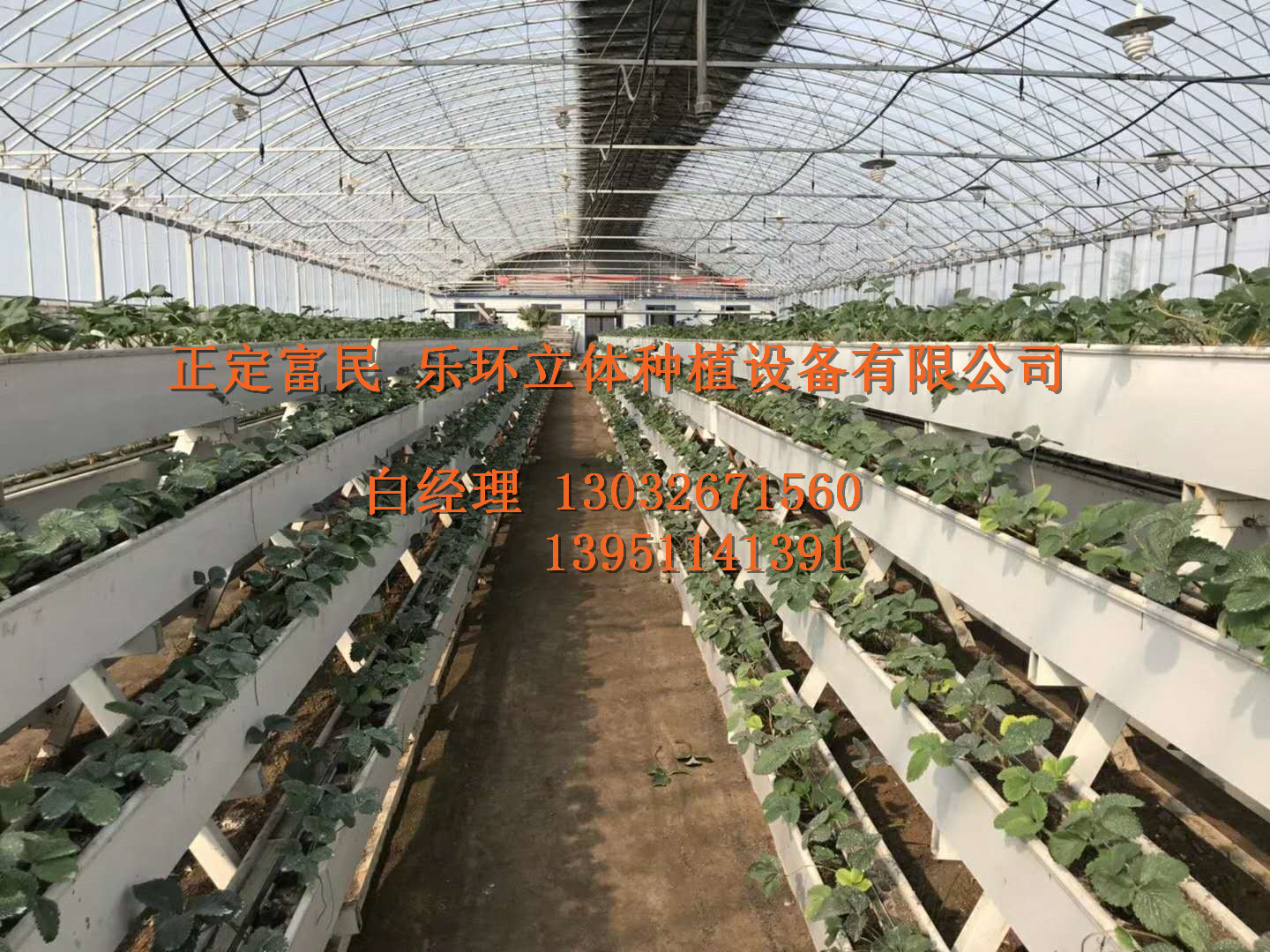 草莓種植槽  立體草莓種植槽