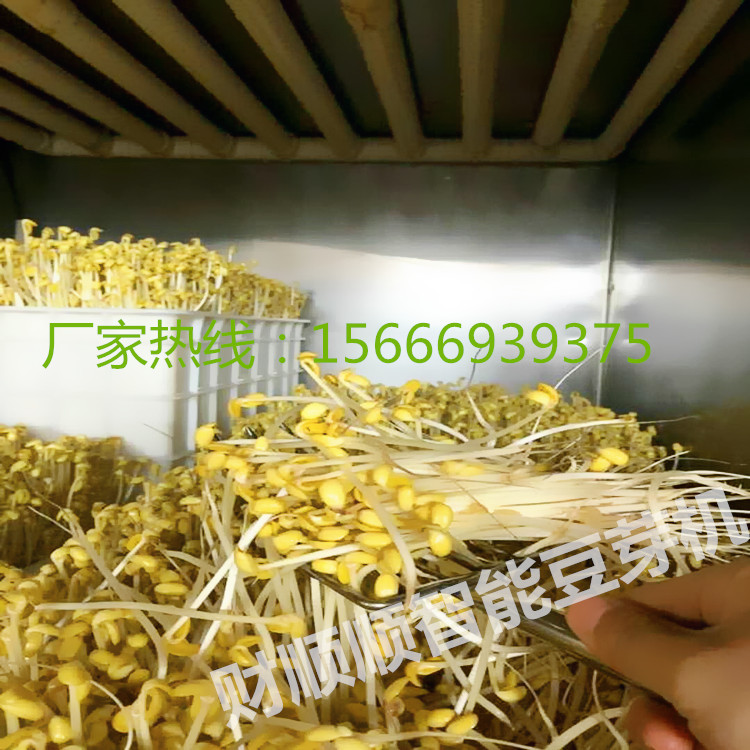 六盤水豆芽機多少錢 財順順牌全自動豆芽機節(jié)能環(huán)保價格實惠