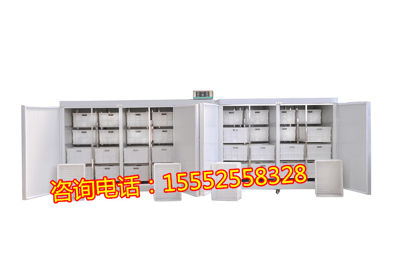 全自動(dòng)豆芽機(jī)械設(shè)備，豆芽機(jī)哪個(gè)牌子好， 全自動(dòng)豆芽機(jī)價(jià)格