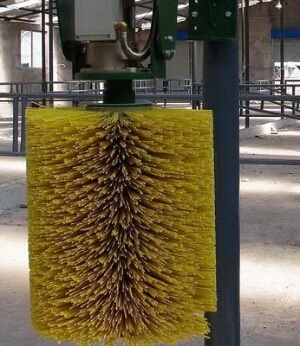 青島環(huán)衛(wèi)圓盤刷報(bào)價(jià) 青島環(huán)衛(wèi)圓盤刷廠家直銷 青島環(huán)衛(wèi)圓盤刷哪里便宜