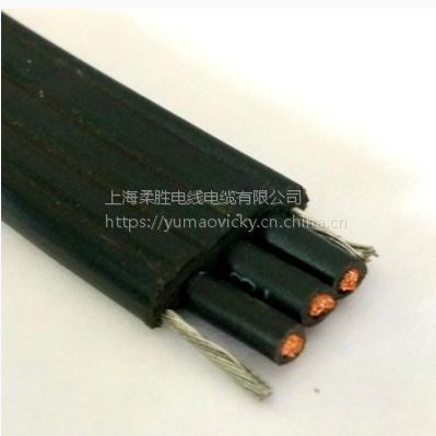 折扁平電纜 影視燈光扁電纜 舞臺燈光用柔性耐折扁平電纜 上海折扁平電纜 上海折扁平電纜供應商