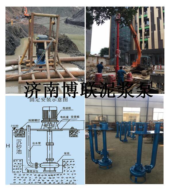 沼氣池清廢渣泵 2寸立式渣漿泵