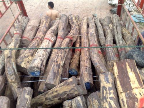 進(jìn)口越南大果紫檀要哪些手續(xù) 有哪些流程|大果紫檀進(jìn)口代理】