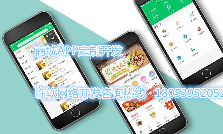 單店鋪電商小程序商城APP開發(fā)