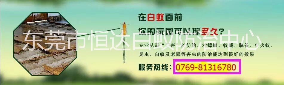 家庭滅白蟻*,東莞市白蟻防