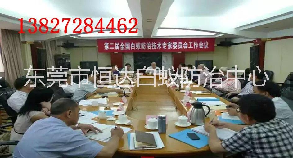 白蟻防治別墅白蟻預(yù)防恒達(dá)滅白蟻公