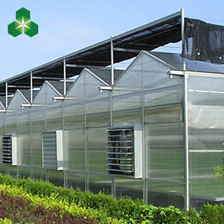 供應(yīng)陽光板溫室廠家陽光板溫室大棚配件陽光板拱棚單棟陽光板溫室大棚