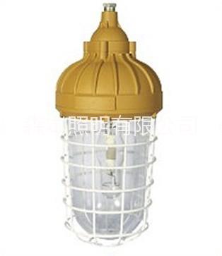 森本SBD3106防爆標志燈