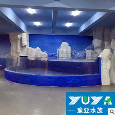 上海 亞克力異形觀賞魚缸供應(yīng)商 亞克力異形觀賞魚缸定做  亞克力異形觀賞魚缸報價
