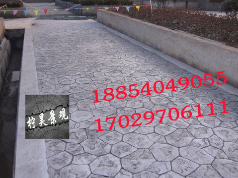 新疆青海甘肅寧夏內(nèi)蒙壓印地坪，藝術(shù)地坪設(shè)計施工