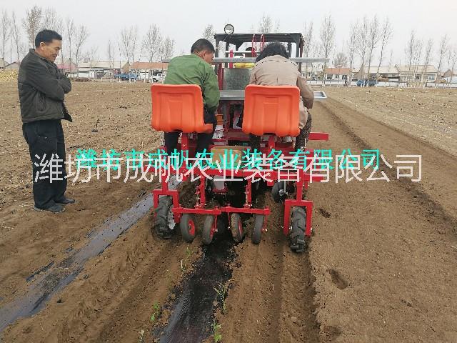 西紅柿 成帆2ZBX-2型辣椒移栽機(jī) 甘藍(lán) 白菜辣椒苗移栽機(jī)價格 你想要的移栽機(jī)都在這里