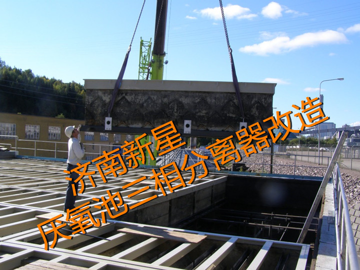 供應(yīng)塑料防腐三相分離器