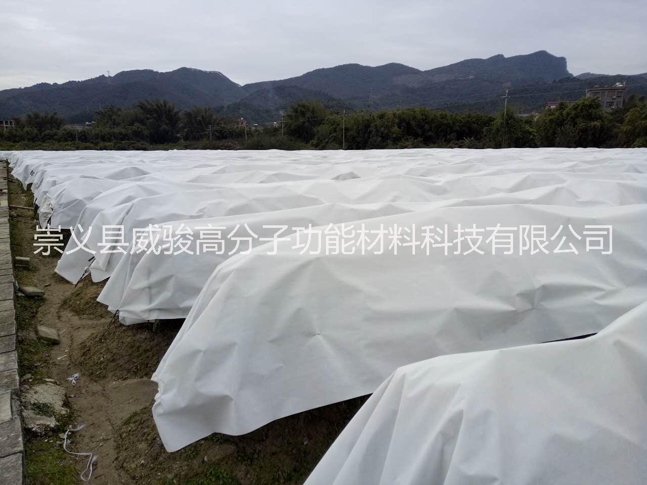 防寒布       防寒布廠家       防寒布價(jià)格        江西防寒布供應(yīng)商