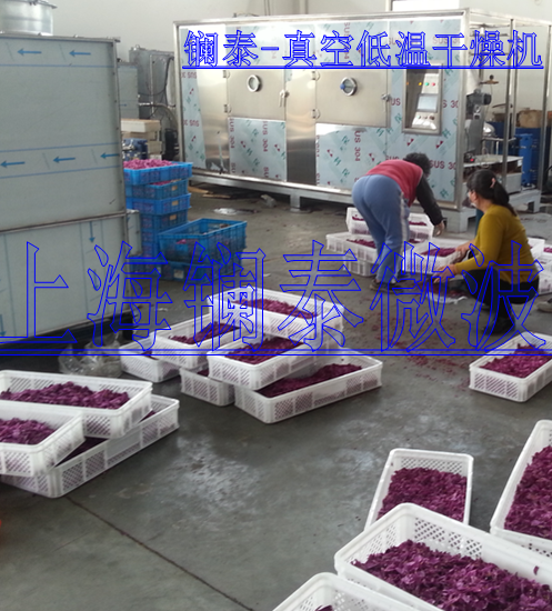 上海工業(yè)微波廠直銷 微波真空干燥機 果蔬烘干機 水果低溫脫水烘干機
