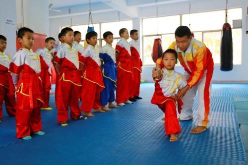 蘇州哪里的武術(shù)學(xué)校是可以考證的? 蘇州少兒武術(shù) 蘇州少兒搏擊
