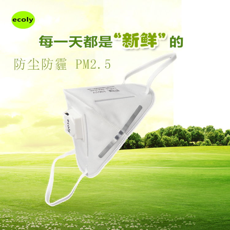 1001V 防霧霾pm2.5過(guò)濾式N95勞保口罩防塵防護(hù)